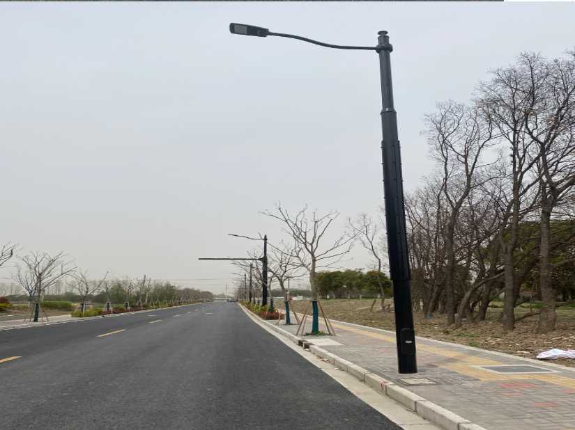 金湾区上海综合杆 太阳能路灯工程